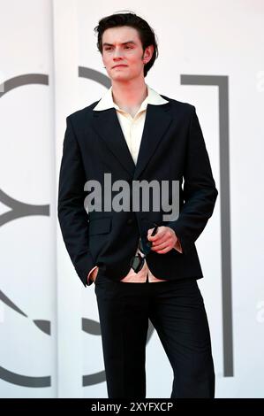 Louis Partridge BEI der Premiere der Apple TV+ Miniserie 'Disclaimer' auf der Biennale di Venezia 2024 / 81. Internationale Filmfestspiele von Venedig im Palazzo del Cinema. Venedig, 29.08.2024 Banque D'Images