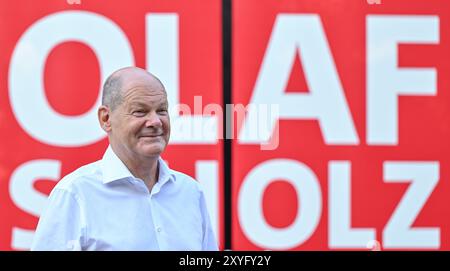 Seelow, Allemagne. 29 août 2024. Le Chancelier fédéral Olaf Scholz, qui voyage en tant que membre du SPD au Bundestag dans la circonscription de Potsdam, participera à une discussion publique dans la soirée dans le cadre de sa tournée estivale. Crédit : Patrick Pleul/dpa/Alamy Live News Banque D'Images