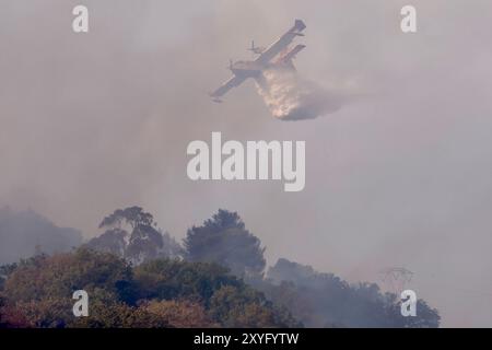 Roma, Italie. 29 août 2024. Incendio a Monte Carnevale, il fumo investe la città Roma, Italia - Giovedì 29 Agosto 2024 - Cronaca - (foto di Cecilia Fabiano/LaPresse) incendie à °Monte Carnevale Rome, Italie - jeudi 29 août 2024 - Actualités - (photo de Cecilia Fabiano/LaPresse) crédit : LaPresse/Alamy Live News Banque D'Images