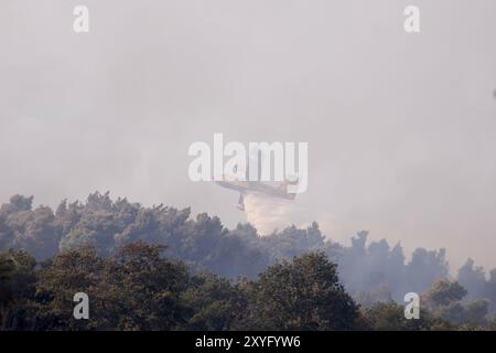 Roma, Italie. 29 août 2024. Incendio a Monte Carnevale, il fumo investe la città Roma, Italia - Giovedì 29 Agosto 2024 - Cronaca - (foto di Cecilia Fabiano/LaPresse) incendie à °Monte Carnevale Rome, Italie - jeudi 29 août 2024 - Actualités - (photo de Cecilia Fabiano/LaPresse) crédit : LaPresse/Alamy Live News Banque D'Images