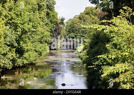 Rivière Brigach à Donaueschingen en été Banque D'Images