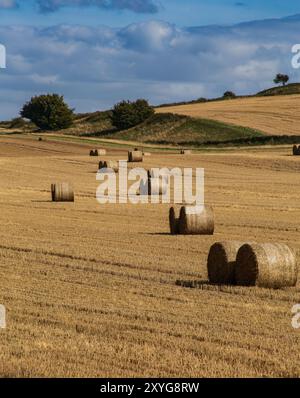 Un paysage rural pittoresque montrant un champ plein de grandes balles de foin rondes sous un ciel partiellement nuageux avec des collines ondulantes en arrière-plan. Banque D'Images