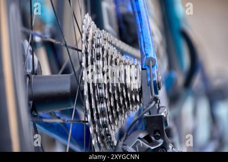Gros plan des détails complexes des engrenages d'un vélo professionnel, en se concentrant sur les pignons de cassette. L'éclat métallique et l'alignement précis de t Banque D'Images