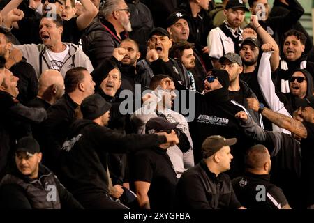 Les fans de PAOK dans les tribunes lors du match de deuxième manche de l'UEFA Europa League au stade Tallaght de Dublin. Date de la photo : jeudi 29 août 2024. Banque D'Images