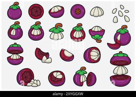 Mangoustan fruits ensemble de bande dessinée avec tranche, moitié, coupe et pose différente. Éléments de conception pour toile de fond, motif, papier peint, étiquette, saveur, déformation an Illustration de Vecteur