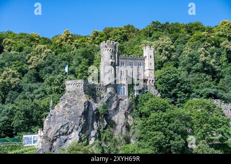 Château de Rheinstein vu du Rhin, Allemagne Banque D'Images