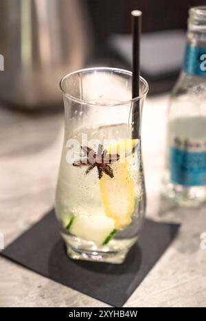 Gin froid et cocktail tonique avec anis étoilé et tranches de concombre au bar Banque D'Images