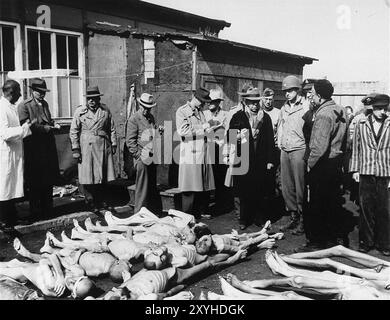 Un groupe d'éditeurs et d'éditeurs américains à Dachau voient les cadavres de prisonniers lors d'une inspection du camp. Dachau a été le premier camp de concentration nazi, ouvert le 22 mars 1933 (seulement 7 semaines après l'arrivée d'Hitler au pouvoir). Bien qu'il s'agisse d'un camp de travaux forcés et qu'il n'y ait pas de chambres à gaz, la brutalité et les châtiments violents sont la norme. Il y a eu 32000 décès documentés là-bas et plusieurs milliers d'autres non documentés. Le camp principal (Dachau comptait 100 sous-camps) a été libéré par l'armée américaine le 29 avril 1945. La photo est datée du 4 mai 1945, six jours après sa libération. Banque D'Images