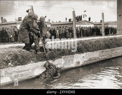 Soldats tirant une garde SS morte des douves à Dachau. Environ 50 gardiens ont été muselés par des prisonniers libérés et jetés dans les douves. Bien qu'il s'agisse d'un camp de travaux forcés et qu'il n'y ait pas de chambres à gaz, la brutalité et les châtiments violents sont la norme. Il y a eu 32000 décès documentés là-bas et plusieurs milliers d'autres non documentés. Le camp principal (Dachau comptait 100 sous-camps) a été libéré par l'armée américaine le 29 avril 1945. Banque D'Images