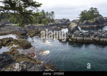 Wild Pacific Trail sur l'île de Vancouver, Canada, Amérique du Nord Banque D'Images
