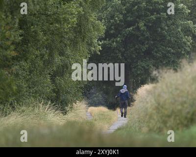 Un randonneur sur le Kolonnenweg, l'ancienne frontière intérieure de l'Allemagne dans la vallée de la Saale, près de Hirschberg en Thuringe Banque D'Images