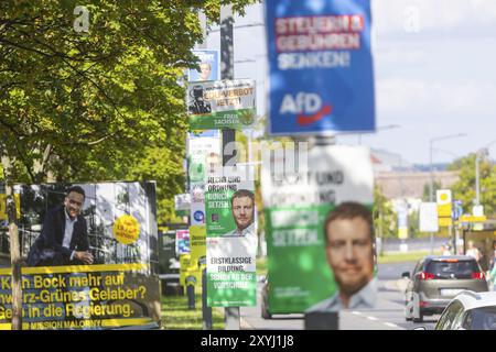La phase chaude de la campagne électorale d'État en Saxe peut être vu dans la quantité de messages différents sur les arbres et les lanternes, campagne électorale d'État Banque D'Images