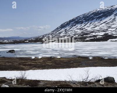 Bateaux inversés sur le lac Langvatnet près de Grotli en Norvège. Le lac est encore couvert de glace au début du mois de juin Banque D'Images