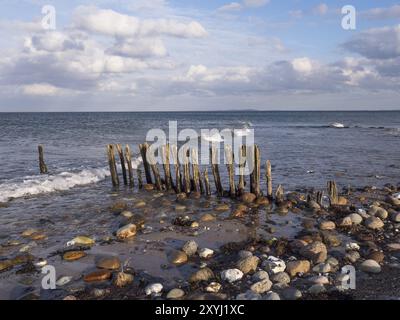 Un vieux groyne en bois sur la plage de la mer Baltique près de Behrensdorf dans la baie de Hohwacht Banque D'Images