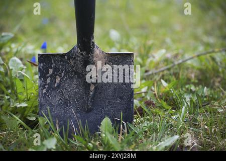 Pelle à manche noir coincée dans le sol entourée d'herbe verte luxuriante et d'un éparpillement de petites fleurs bleues Banque D'Images