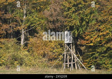 Siège haut au bord d'une forêt en automne Banque D'Images