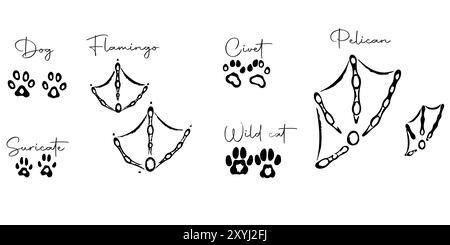 Empreintes de pieds d'animaux sauvages dessinées à la main Illustration de Vecteur