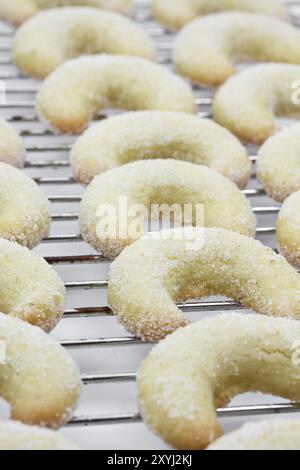 Biscuits de Noël, croissants à la vanille, sur étagère grillagée Banque D'Images