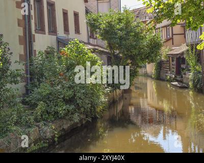 Petit canal avec arbres densément envahis et maisons à colombages, ambiance estivale calme, Weissenburg, Alsace, France, Europe Banque D'Images