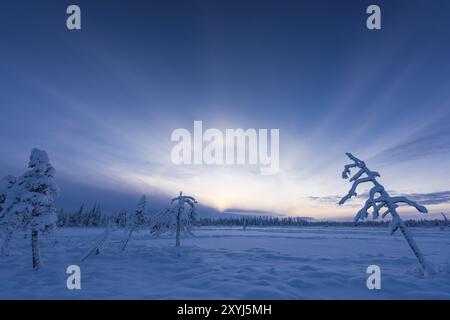 Paysage de marais d'hiver, Parc national de Muddus, site du patrimoine mondial de Laponie, Norrbotten, Laponie, Suède, décembre 2015, Europe Banque D'Images