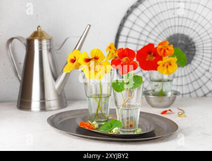 Fleurs colorées de nasturtium ou de cresson indien dans de petits verres sur la table de cuisine légère. Fleurs comestibles, feuilles utilisées comme ingrédient alimentaire Banque D'Images