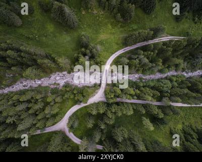 Drone aérien vue sur les arbres de la partie supérieure sur une forêt sur les Alpes Dolomites italiennes à Santa Magdalena Banque D'Images