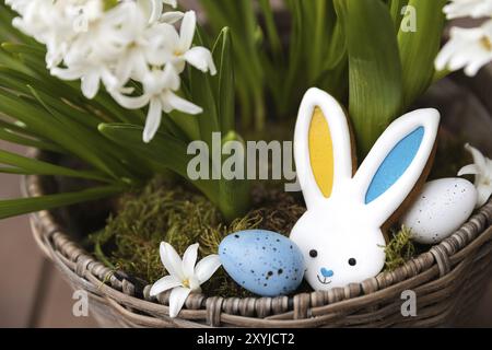Biscuit au pain d'épice de lapin de Pâques posé sur le pot à fleurs en jacinthe, mousse. Les oreilles de lapin sont colorées avec le bleu jaune comme drapeau de l'Ukraine. Blanc et bleu Easte Banque D'Images