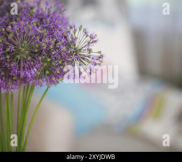 Fleurs de ciboulette chinoise dans le vase de fleurs sur table dans la salle de séjour Banque D'Images