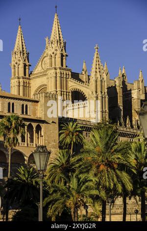 Cathédrale de Majorque, siècle. XIII à XX siècle. Palma. Majorque. Îles Baléares. Espagne Banque D'Images