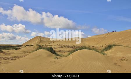 Rubjerg Knude, dune de sable unique à Jylland, Danemark, Europe Banque D'Images