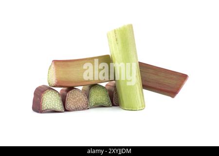 Groupe de morceaux de rhubarbe de différentes formes et tailles disposés dans une formation dispersée isolée sur fond blanc Banque D'Images