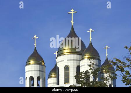 Cathédrale du Christ Sauveur. Kaliningrad (anciennement Koenigsberg), Russie, Europe Banque D'Images