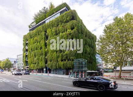 Calwer passage, Grüne Fassade für embrases Stadtklima. Vom Büro ingenhoven Associates Stammen die Entwürfe für die Fassade. Eigentümer ist die Versicherungskammer München. Ankermieter ist die Anwaltskanzlei CMS. // 29.08.2024 : Stuttgart, Baden-Württemberg, Deutschland, Europa *** passage Calwer, façade verte pour un meilleur climat urbain la façade a été conçue par ingenhoven Associates le propriétaire est Versicherungskammer München le locataire principal est le cabinet d'avocats CMS 29 08 2024 Stuttgart, Baden Württemberg, Allemagne, Europe Banque D'Images