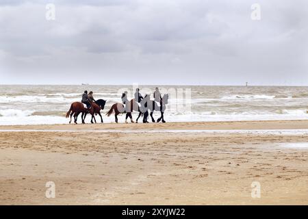 Peu de cavaliers sur les chevaux sur la plage près de la mer du Nord Banque D'Images