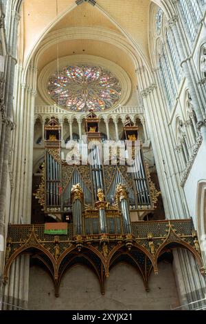 Orgue de la cathédrale d'Amiens somptueusement décoré de sculptures gothiques flamboyantes. Les tuyaux et le boîtier actuels ont été installés en 1549, avec des ajouts en 1620 Banque D'Images