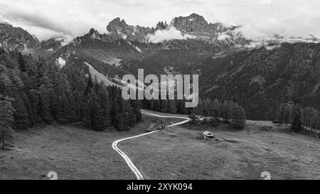 Prairie alpine Wuhnleger, derrière les sommets de la roseraie, enveloppée de brouillard, tir de drone, noir et blanc, Dolomites, province autonome de Bolzano, Banque D'Images
