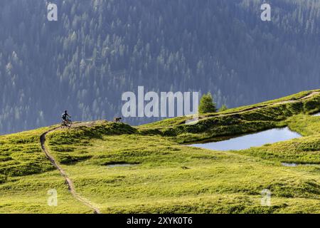 VTT avec chien de traîne, homme avec chien Vizsla sur une piste cyclable, Pischa, Flueela Pass, Grisons, Suisse, Europe Banque D'Images