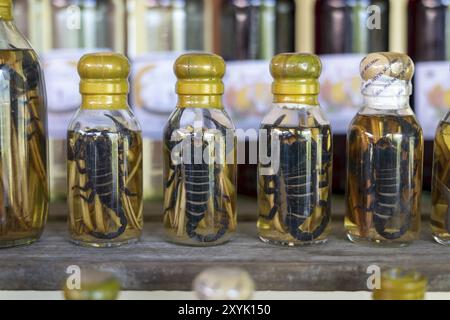 Choum, liqueur de riz, vin de riz avec scorpions marinés et serpents à vendre, Laos, Asie Banque D'Images