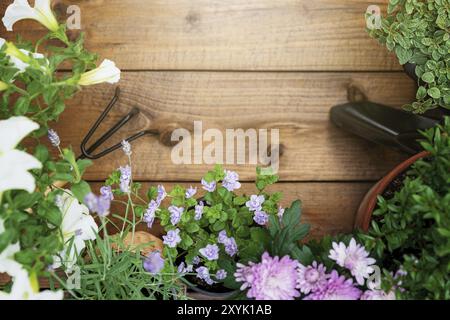 Vue de dessus sur le jardinage, les outils et l'équipement d'aménagement paysager, différentes fleurs et diverses herbes dans des pots sur fond de bois brun plat. COP vide vierge Banque D'Images