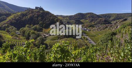 Panorama des vignobles de la vallée de l'Ahr sur le sentier de randonnée avec vin rouge Banque D'Images