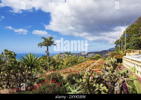 Vue d'un jardin à Funchal sur l'île de Madère, Portugal, Europe Banque D'Images