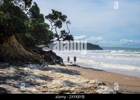 De l'écume de mer a échoué sur le sable à Langs Beach, McKenzie Cove, North Island, Nouvelle-Zélande Banque D'Images