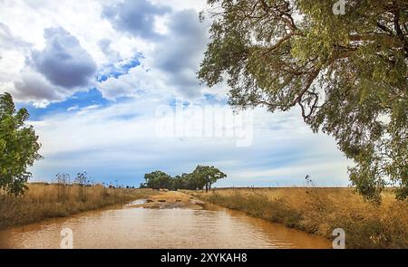 Rue inondée dans l'outback à Dubbo Australie Banque D'Images