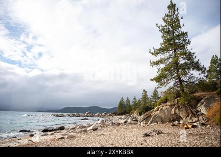 Vue spectaculaire sur de grands pins et des rochers au lac tahoe Banque D'Images