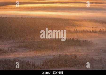 Foggy Mood, réserve naturelle de Stubba, site du patrimoine mondial de Laponie, Norrbotten, Laponie, Suède, novembre 2014, Europe Banque D'Images