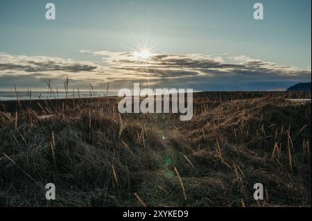 Coucher de soleil sur les dunes herbeuses de plage en Islande au printemps Banque D'Images