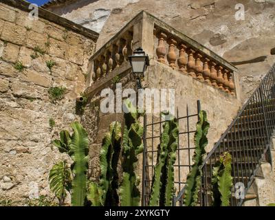 Escalier en pierre et lanterne sur un vieux mur de pierre, entouré de plantes vertes et de cactus, palma de majorque, majorque, îles baléares, espagne Banque D'Images