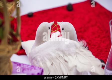 Deux colombes blanches avec des anneaux de mariage dorés Banque D'Images