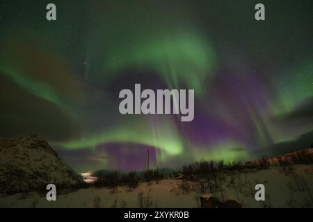 Aurores boréales (Aurora borealis), Mefjordvaer, Mefjorden, Senja, Troms Fylke, Norvège, mars 2015, Europe Banque D'Images