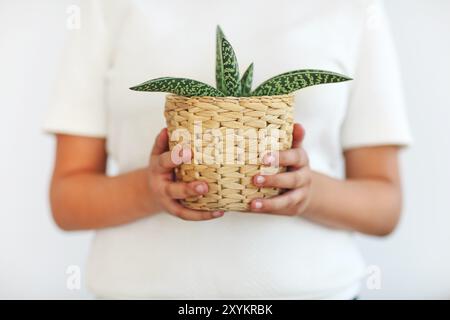 Woman holding green plante en pot de fleurs peu Banque D'Images